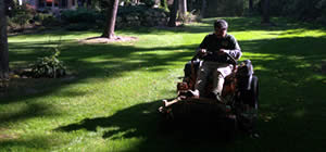 Premier Lawn Care Maintenance near me